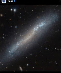 Meet your Posher, Jonah